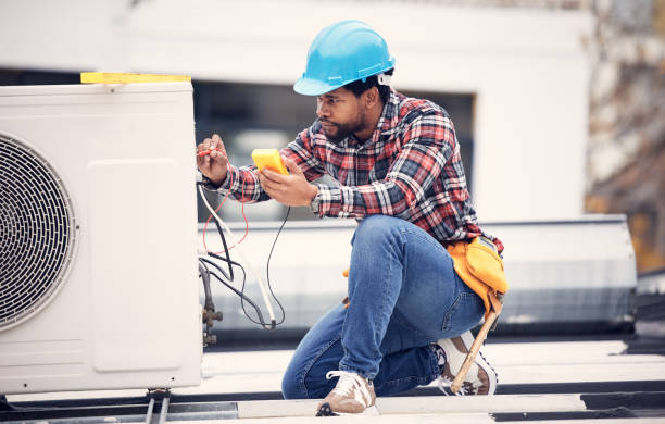 Best Electric Panel Repair  in Two Harbors, MN